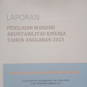 Laporan Penilaian Mandiri AKIP Dinkes